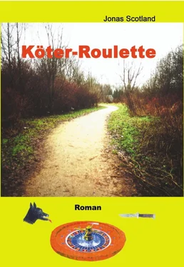 Jonas Scotland Köter-Roulette обложка книги