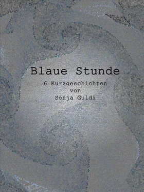 Sonja Guldi Blaue Stunde обложка книги