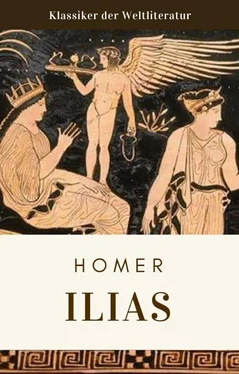 Homeros Homer Homer - Ilias обложка книги