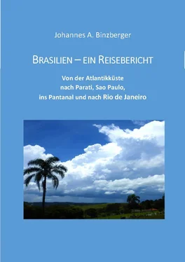 Johannes A. Dr. Binzberger Brasilien - ein Reisebericht обложка книги