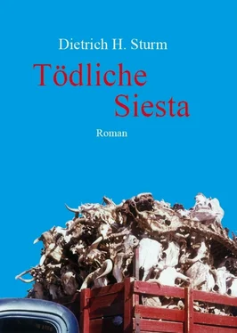 Dietrich H. Sturm Tödliche Siesta обложка книги