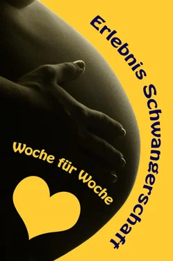 Vanessa Bauer Erlebnis Schwangerschaft...Woche für Woche обложка книги