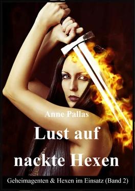 Anne Pallas Lust auf nackte Hexen обложка книги