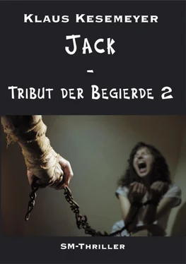 Klaus Kesemeyer Jack - Tribut der Begierde 2 обложка книги