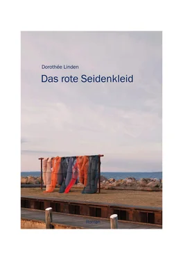 Dorothée Linden Das rote Seidenkleid обложка книги