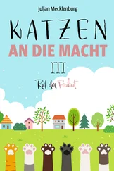 Juljan Mecklenburg - Katzen an die Macht III
