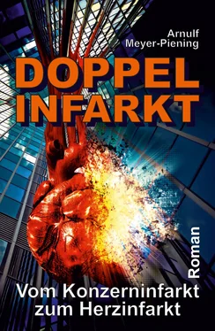 Arnulf Meyer-Piening Doppel-Infarkt обложка книги