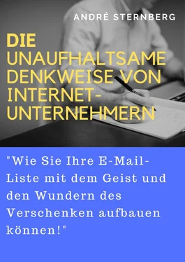 André Sternberg Die unaufhaltsame Denkweise von Internet-Unternehmern обложка книги