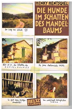 Henky Hentschel Die Hunde im Schatten des Mandelbaums обложка книги