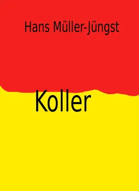 Hans Müller-Jüngst Koller обложка книги
