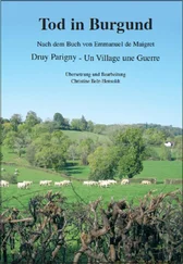 Christine Dr. Belz-Hensoldt - Tod in Burgund
