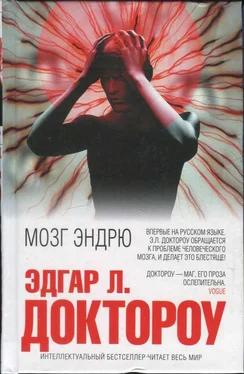 Эдгар Доктороу Мозг Эндрю обложка книги