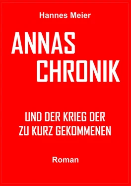 Hannes Meier Annas Chronik und... обложка книги