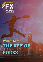 Geza Varkuti - The Key of Forex
