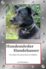ST Zacharias - Hundemörder Hundehasser