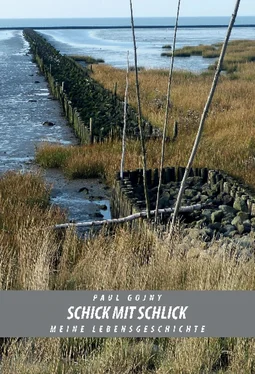 Paul Gojny Schick mit Schlick - Meine Lebensgeschichte - Buch II обложка книги