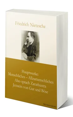 Friedrich Nietzsche Hauptwerke: Menschliches – Allzumenschliches, Also sprach Zarathustra, Jenseits von Gut und Böse обложка книги