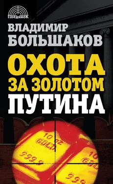 Владимир Большаков Охота за золотом Путина обложка книги