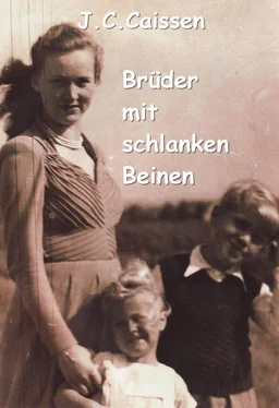 J.C. Caissen Brüder mit schlanken Beinen обложка книги