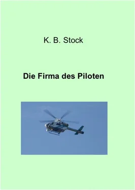 K.B. Stock Die Firma des Piloten обложка книги