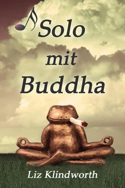 Liz Klindworth Solo mit Buddha обложка книги