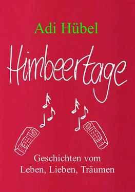 Adi Hübel Himbeertage обложка книги
