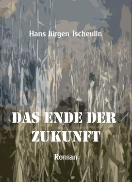 Hans Jürgen Tscheulin Das Ende der Zukunft обложка книги