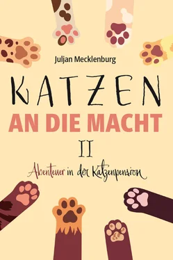 Juljan Mecklenburg Katzen an die Macht II обложка книги
