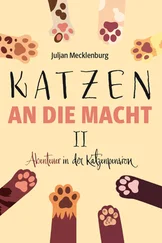 Juljan Mecklenburg - Katzen an die Macht II