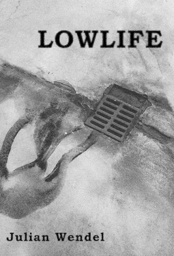 Julian Wendel Lowlife обложка книги