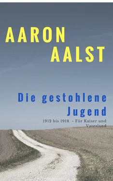 Aaron Aalst Die gestohlene Jugend обложка книги