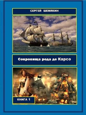 Сергей Шемякин Сокровища рода де Карсо обложка книги