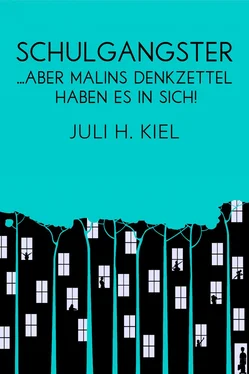 Juli H. Kiel Schulgangster обложка книги