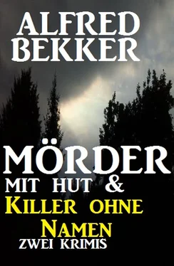 Alfred Bekker Mörder mit Hut & Killer ohne Namen обложка книги