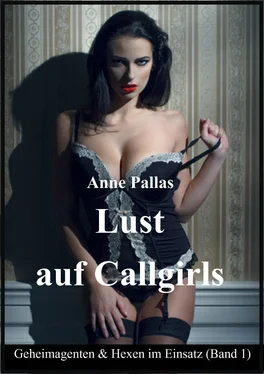 Anne Pallas Lust auf Callgirls обложка книги