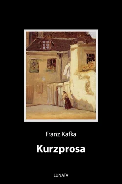 Franz Kafka Kurzprosa обложка книги