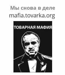 Еще одна конференция по заработку на товарах Товарная мафия также с одной - фото 24