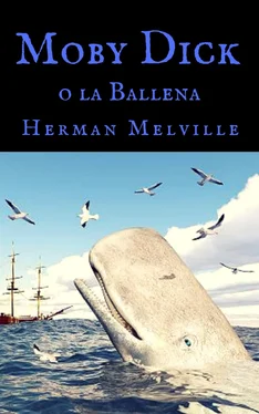Herman Melville Moby Dick o la Ballena обложка книги