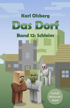 Karl Olsberg Das Dorf Band 12: Schleim обложка книги