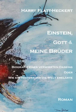 Harry Flatt-Heckert Einstein, Gott und meine Brüder обложка книги