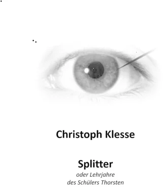 Christoph Klesse Splitter обложка книги