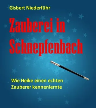 Gisbert Niederfuehr Zauberei in Schnepfenbach обложка книги