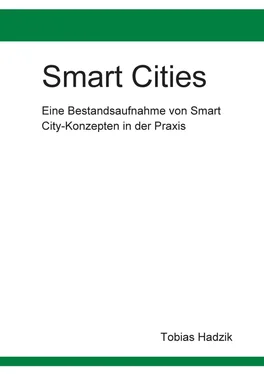 Tobias Hadzik Smart Cities обложка книги