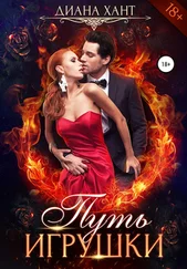 Диана Хант - Путь игрушки