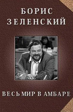 Борис Зеленский Весь мир в амбаре обложка книги