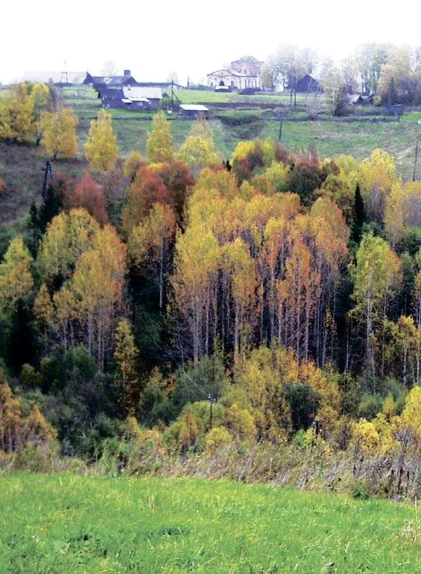 Тихая Виледь - фото 9