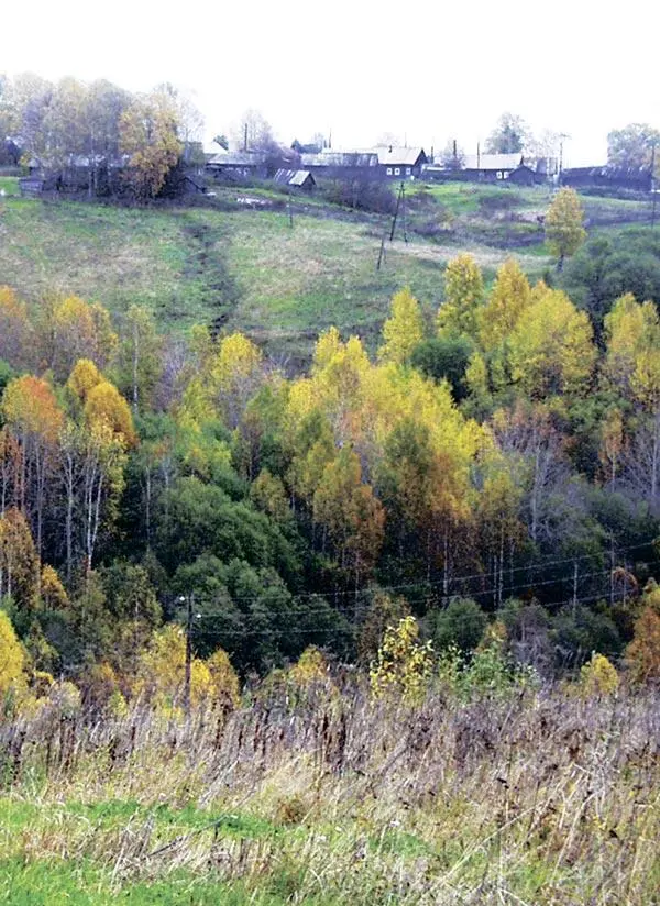 Тихая Виледь - фото 10