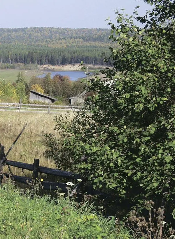 Тихая Виледь - фото 14