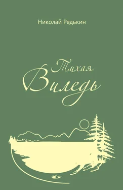 Николай Редькин Тихая Виледь обложка книги