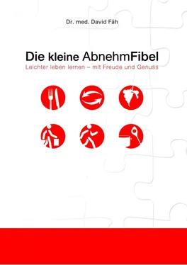 David Fäh Die kleine AbnehmFibel обложка книги